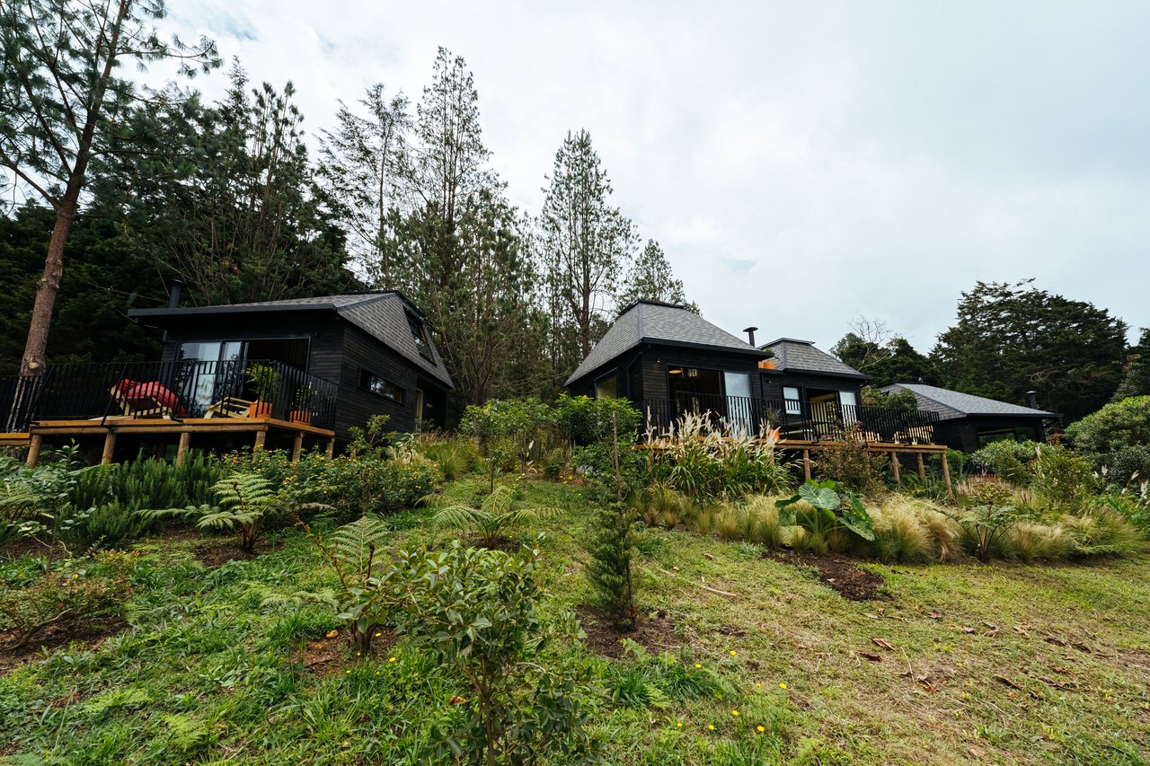 Cabañas La Niebla — photograph 3