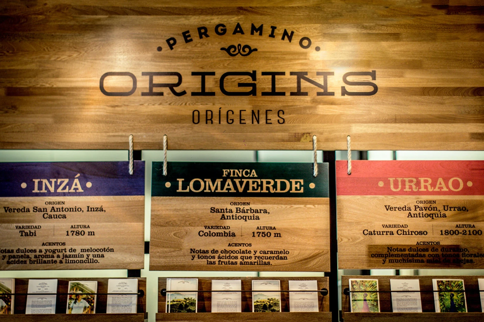 Pergamino — image 4