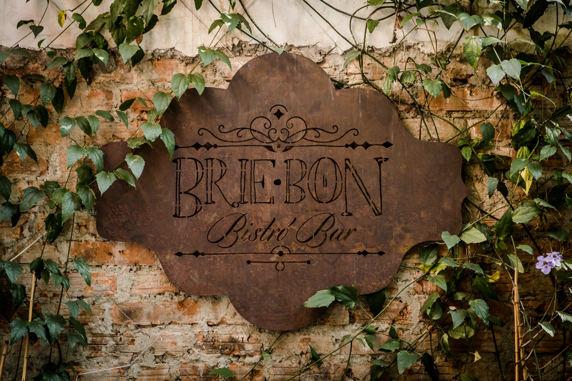 Brie Bon — image 1