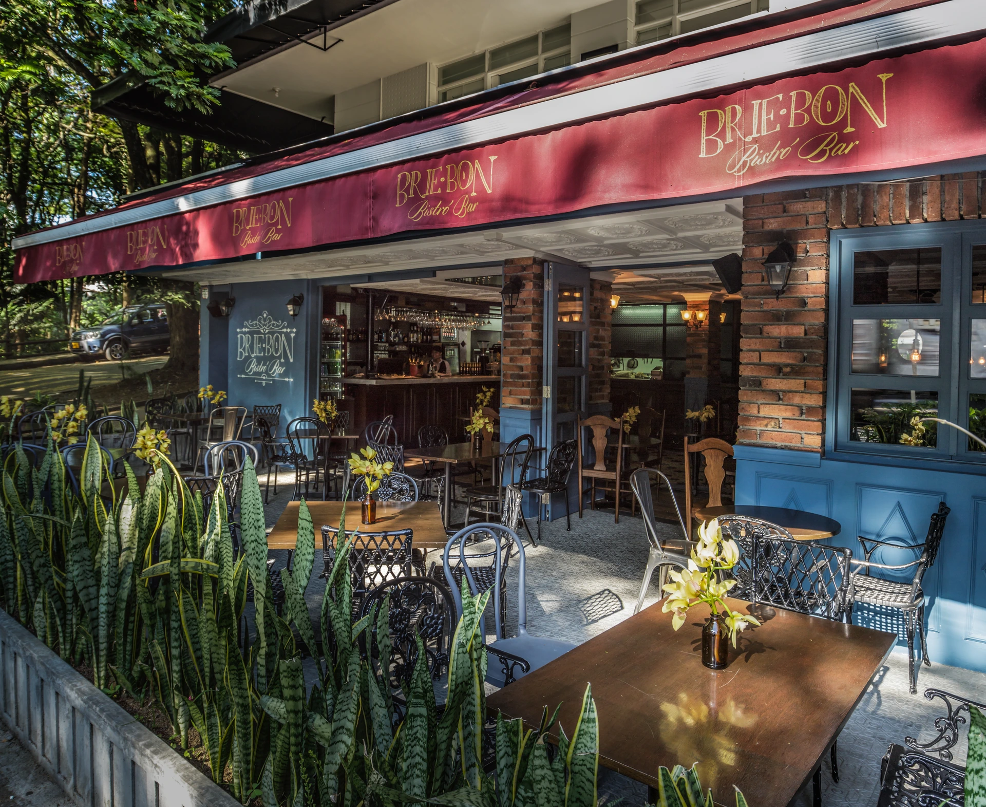 Brie Bon — image 9