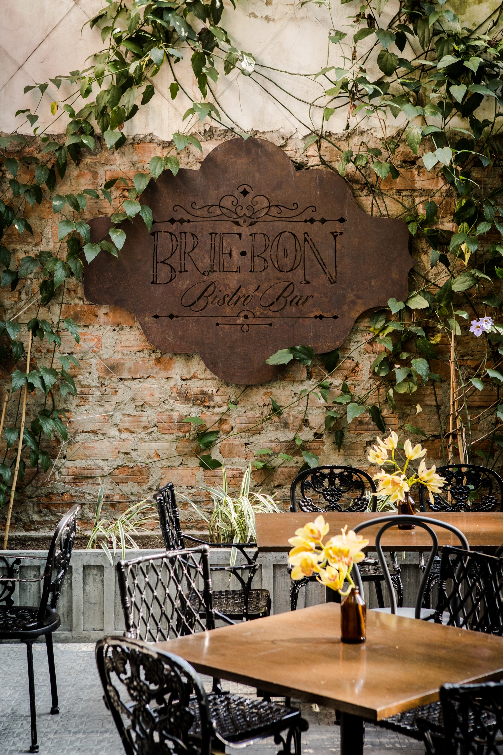 Brie Bon — image 11