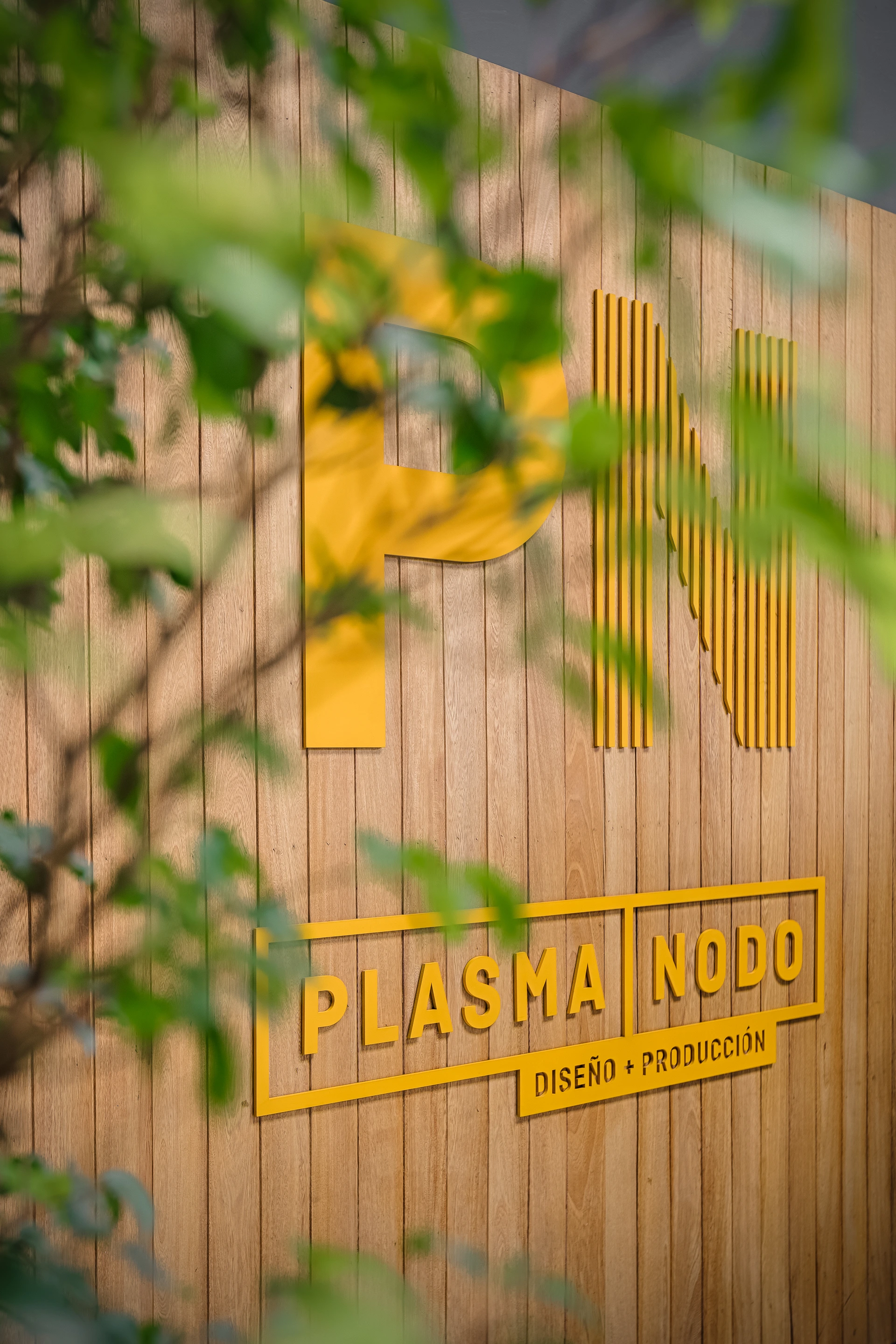 PLASMA + NODO — image 8